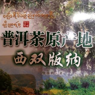 《普洱茶原产地—西双版纳》_【前言、追根寻源找普洱茶】