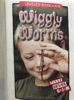 Wiggly Worms