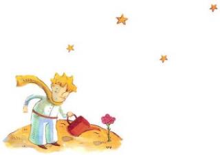 The Little Prince Chapter22 小王子 어린왕자