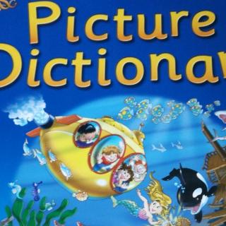 Picture dictionary