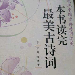 潘老师读书《落花风雨更伤春，不如怜取眼前人》20190715