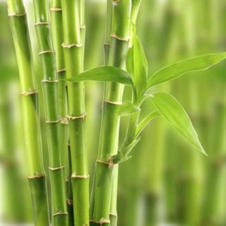 【29-122-2 新竹】在线收听_horton0215_荔枝