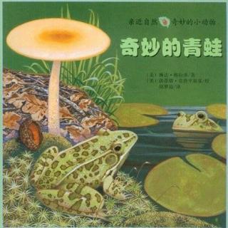 【Day1770】绘本故事《奇妙的青蛙》