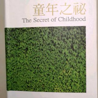 《童年之秘----第十九章    观察与发现🅱》