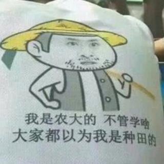 卖瓜（麦兴平）