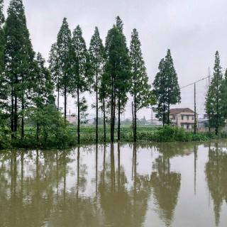 综合实践活动拓展性课程建设解读