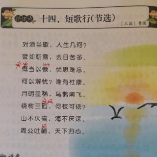 短歌行（节选）～（三国）曹操#古诗打卡#