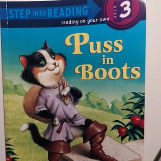 兰登3-puss in boots