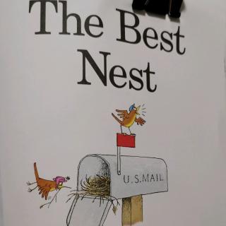 The best nest