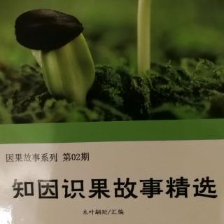 《知因识果故事精选》故事107和故事108