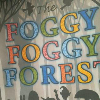 foggy foggy forest
