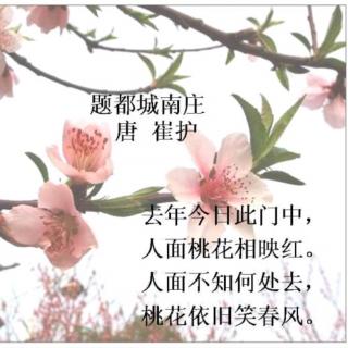 《题都城南庄》 崔护