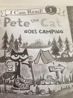 Pete the cat goes camping 1-14