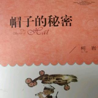 暑假阅读第七天 《帽子的秘密》