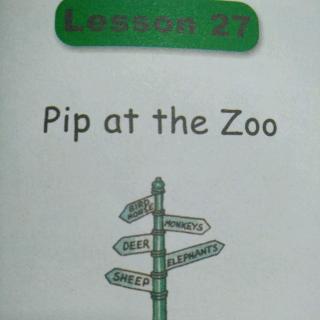 L27 Pip at the Zoo