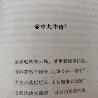 壶中九华诗