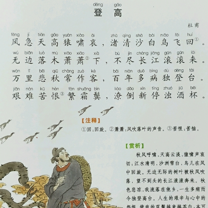 #古诗打卡#登高–打卡第4天