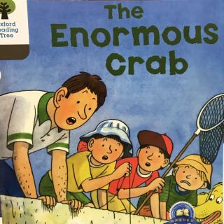 The Enormous Crab - Oxford Reading Tree