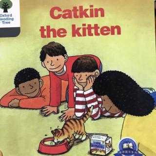 Catkin the kitten - Oxford Reading Tree 1