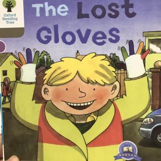 The lost Gloves - Oxford Reading Tree 1