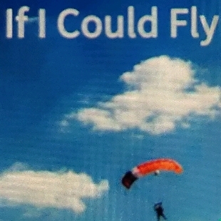 睡前故事-If I Could Fly