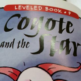 江尚玥—P—Coyote and the star