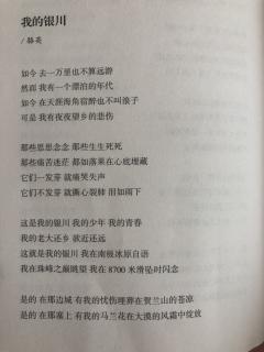 我的银川 中心小学 曹亚楠