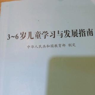 语言领域——阅读与书写准备