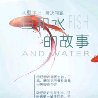 十一条鱼🐠的故事