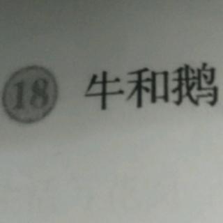 18.牛和鹅    王鸿运