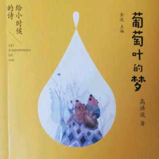 葡萄叶的梦📕（十三）