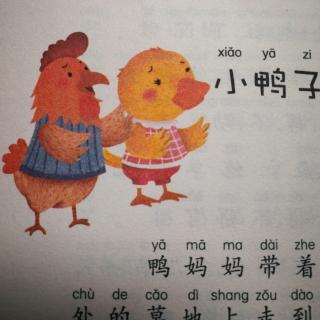 小鸭子🦆学游泳