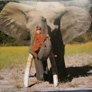 阿布，我的大象哥哥