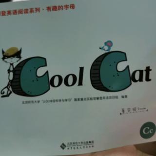cool cat