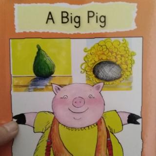 自然拼读集训绘本2A Big Pig