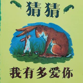 《猜猜我有多爱你》