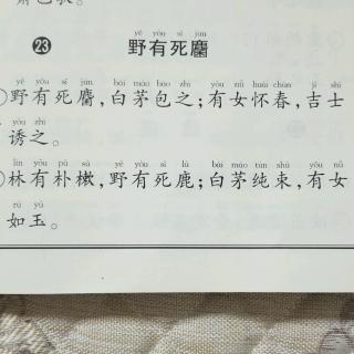 道善堂经典诵读诗经野有死麕