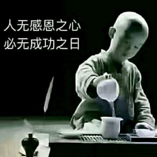 龟兔赛跑