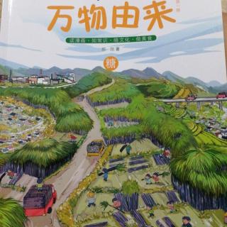 万物由来：糖11世界糖果之旅