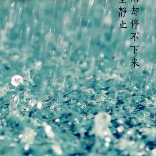 《树完全静止，雨却停不下来》陈忠村