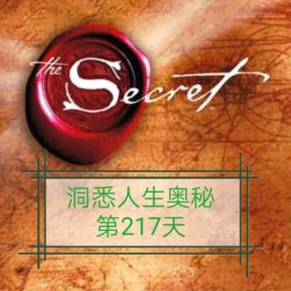 洞悉人生奥秘第217天