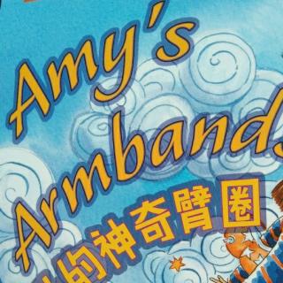 《Amy's armbands》