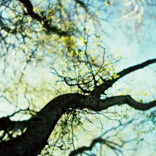 《西南联大英文课》导读--中译出版社 胡晓凯