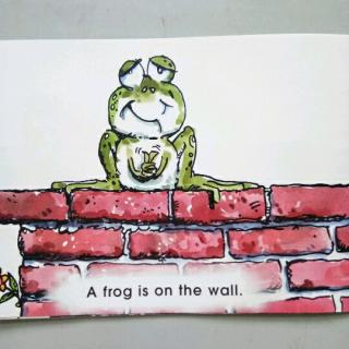 A frog is on the wall.