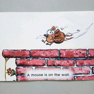 A mouse is on the wall.