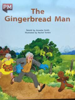 赵胤博The gingerbread man