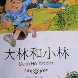 大林和小林第五章