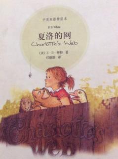 Charlotte's web 21/3