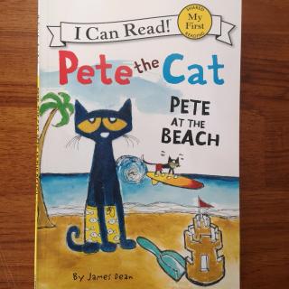 <Pete at the beach>