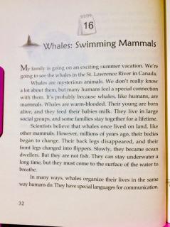 5-16 🐋Whales：Swimming Mammals